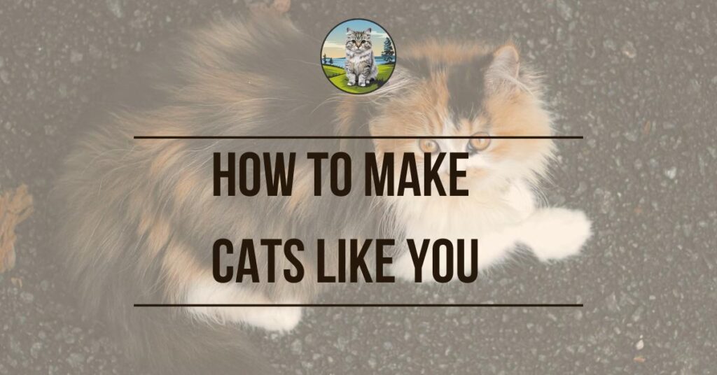 How to Make Cats Like You