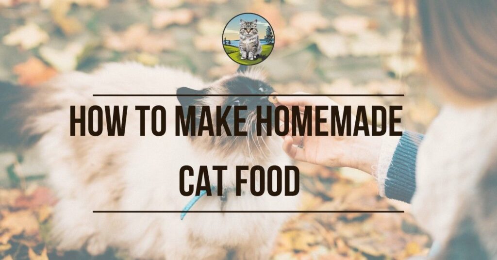 How to Make Homemade Cat Food