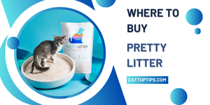 Where to Buy Pretty Litter