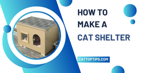 how to make a cat shelter