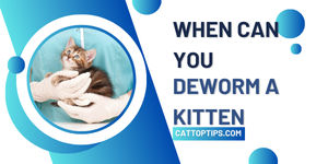 when can you deworm a kitten