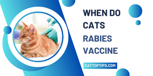 when do cats get rabies vaccine