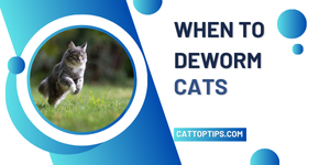 when to deworm cats