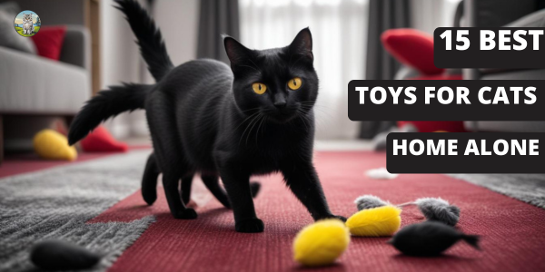 15 Best Toys for Cats Home Alone : Cat Top Tips